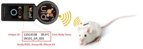 rfid tag mouse|mouse identification machine.